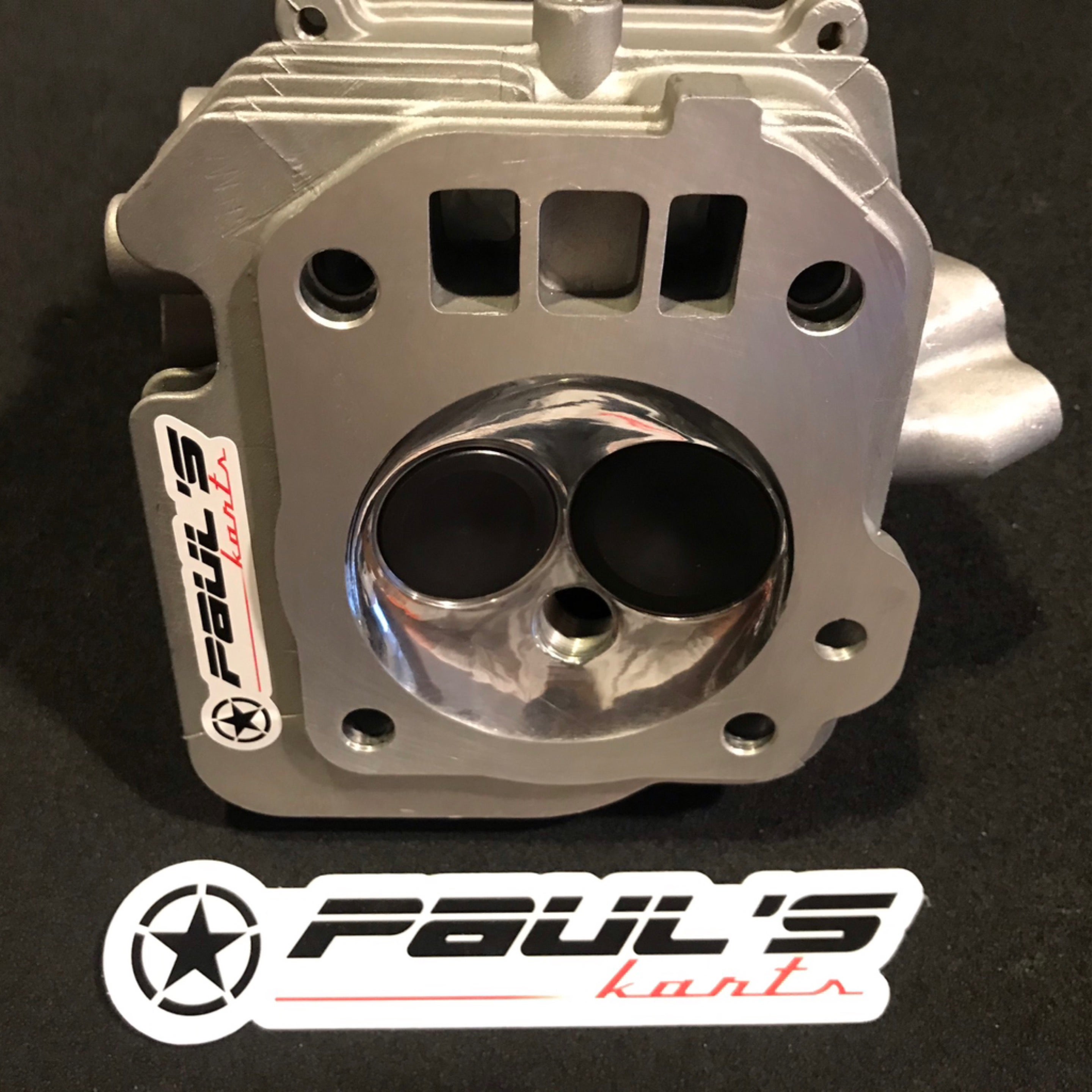 Predator 212 hemi head big valve 32 28 includes valves springs